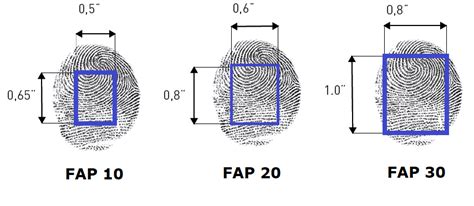 Look At This Size Comparison! Time To Fap! (Pics)